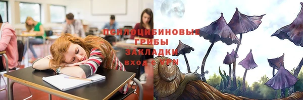 spice Бронницы