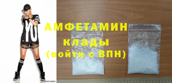 крисы Бородино