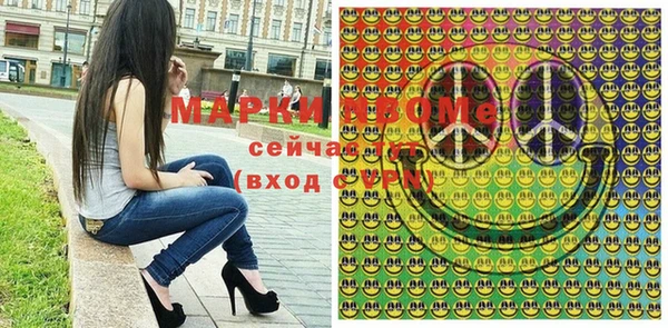 крисы Бородино