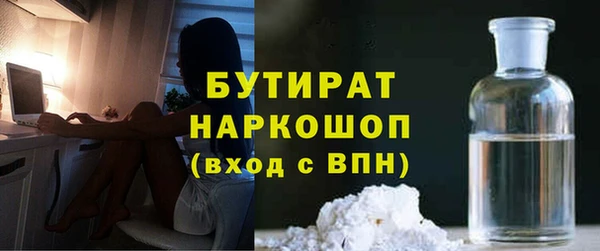 крисы Бородино