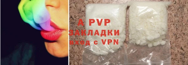 крисы Бородино