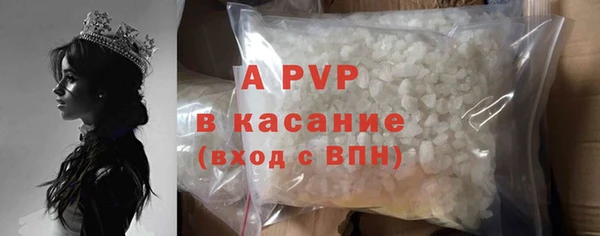 крисы Бородино
