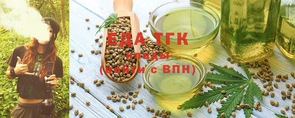 крисы Бородино