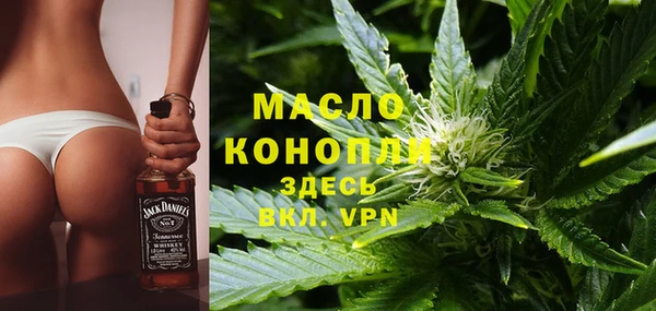 крисы Бородино
