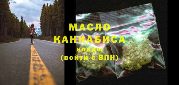 крисы Бородино