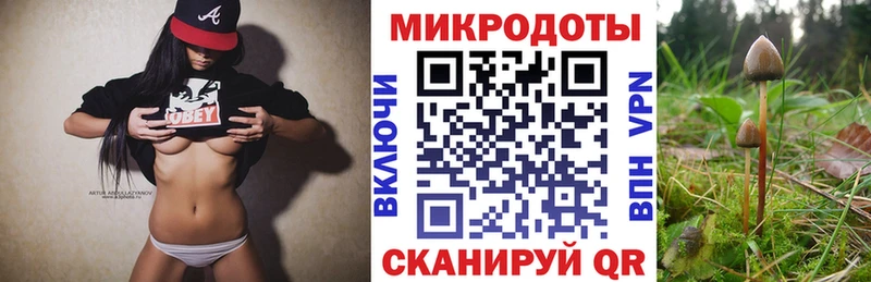 Псилоцибиновые грибы Psilocybine cubensis  Тула 